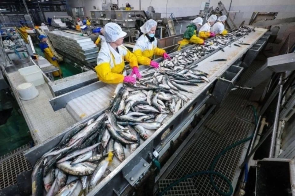 �� �������� ��������� ����� ������ ������������� ������