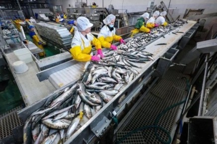 �� �������� ��������� ����� ������ ������������� ������