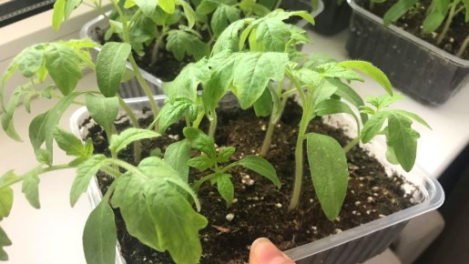 ��������� ���� �������: 7 ���������������� ������, ������� ��������� �������