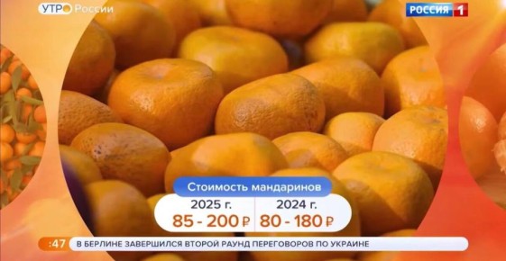 Мандарины к новогодним праздникам: выбор стал проще и дешевле