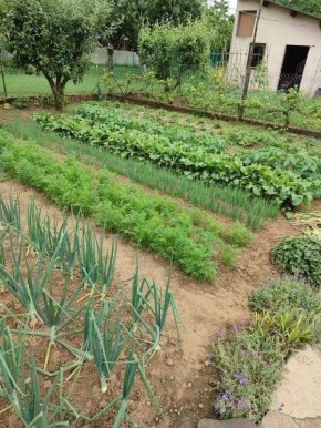 ������ ������� ��������������� ����� ����� ��������� ����� �����������, ��� �� ������