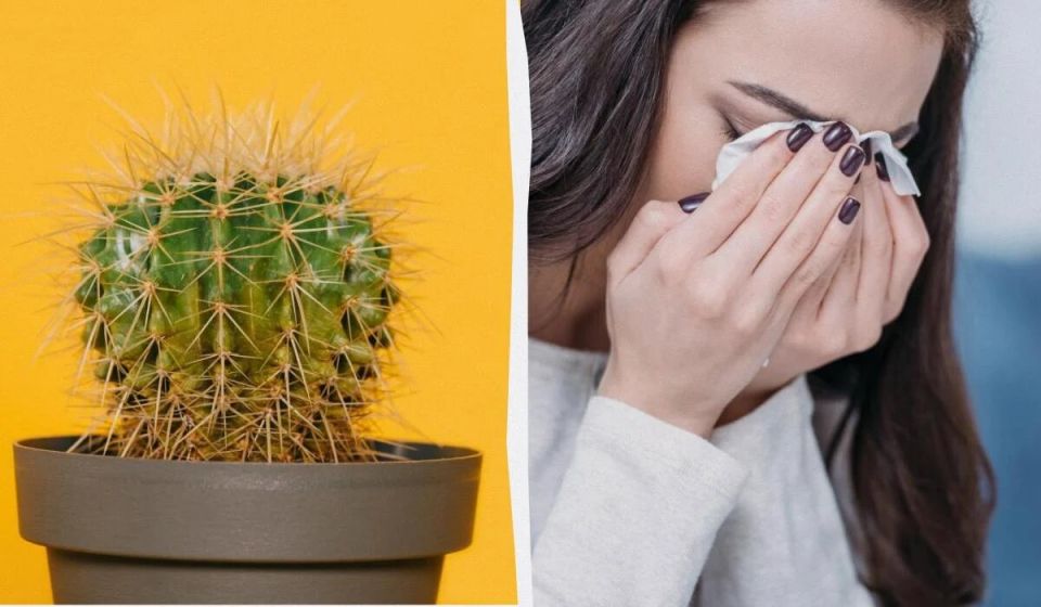 ������� � ����� ����: ���� � ����������