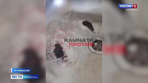 Жители посёлка Октябрьский жалуются на качество водопроводной воды