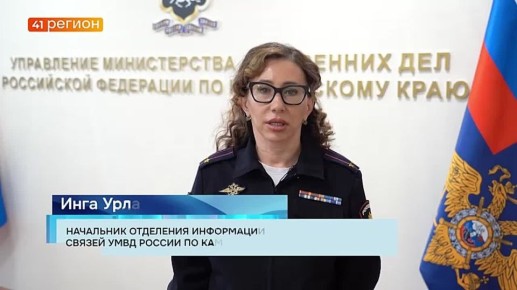 Подозреваемого в серии краж из магазинов и торговых точек задержали в столице Камчатки