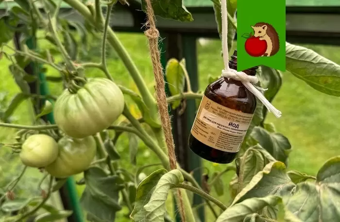 Август: время пиковых работ на даче