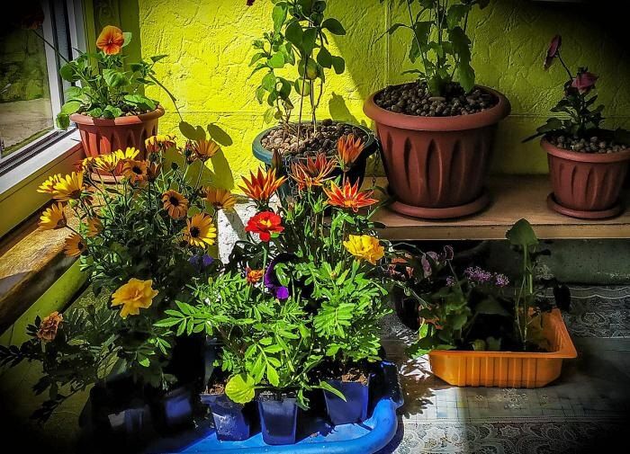 ��� �������� ������� ����� ����������� ���� �������� ��������