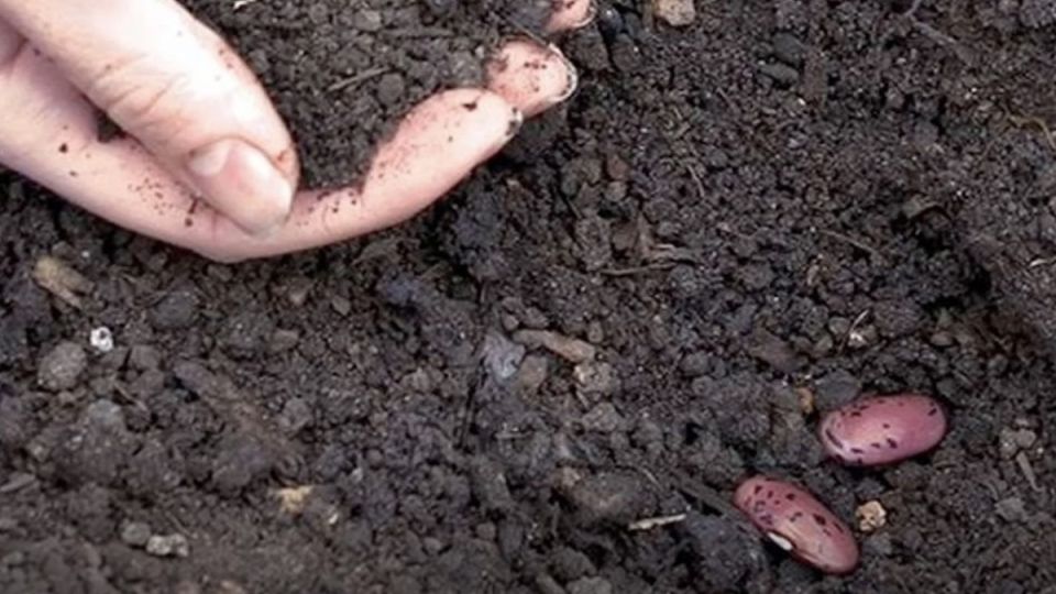 ������� �������� ������� ������ � ������ � �������� �����