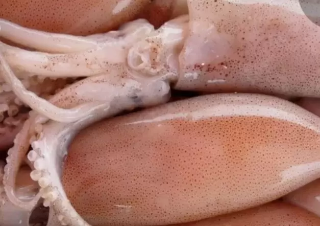 Фаршированный кальмар: вкусное это не только для гурманов