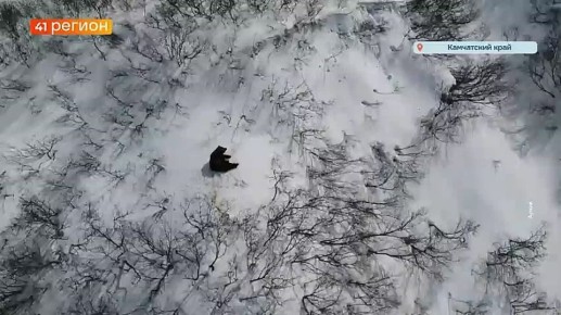 ����� ������� �������� ����������� �� ��������