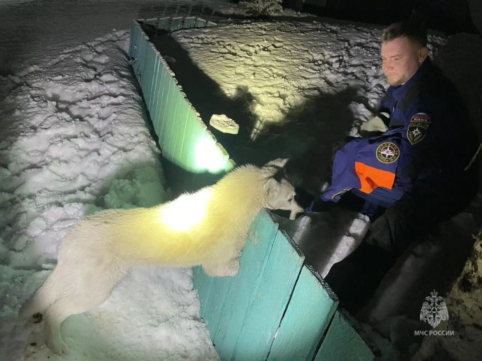 ��������� ���������� ������, ���������� � ������