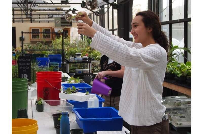 ��������������� �����������: ��� ������������ �������������� � �������� �������� ����������� ��������