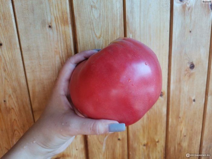 ����� �������������: ������� ����� � ��������� ������ � �����