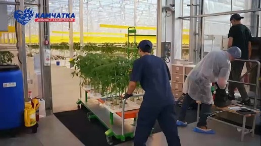 Они приехали на Камчатку и остались навсегда