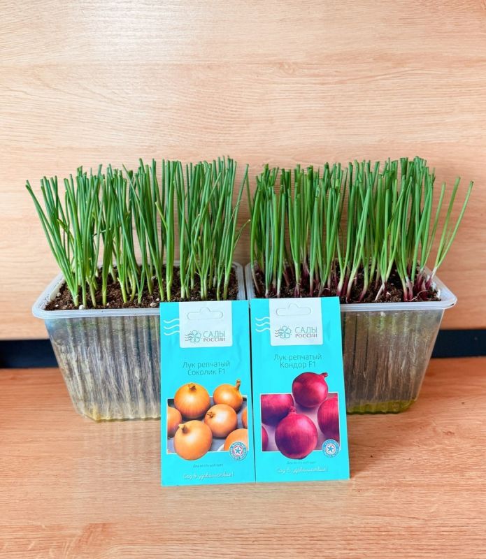 ��� ��������� �� ������� ��������: ������ ��� ��������� �����