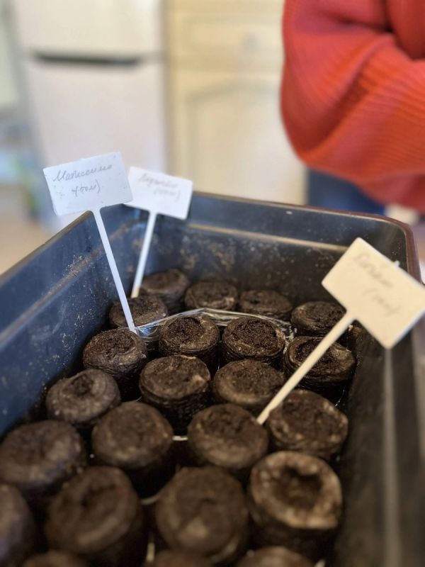 ������� ������� �������: ��� �������� ���������������� ������