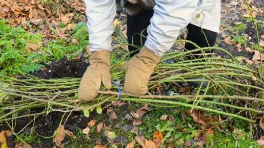 ��� ��������� ���� � ������ ������: ������� ��������� �������