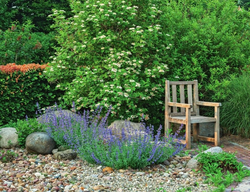 ��������� ���: �������� ������� ��� ������������ ���������