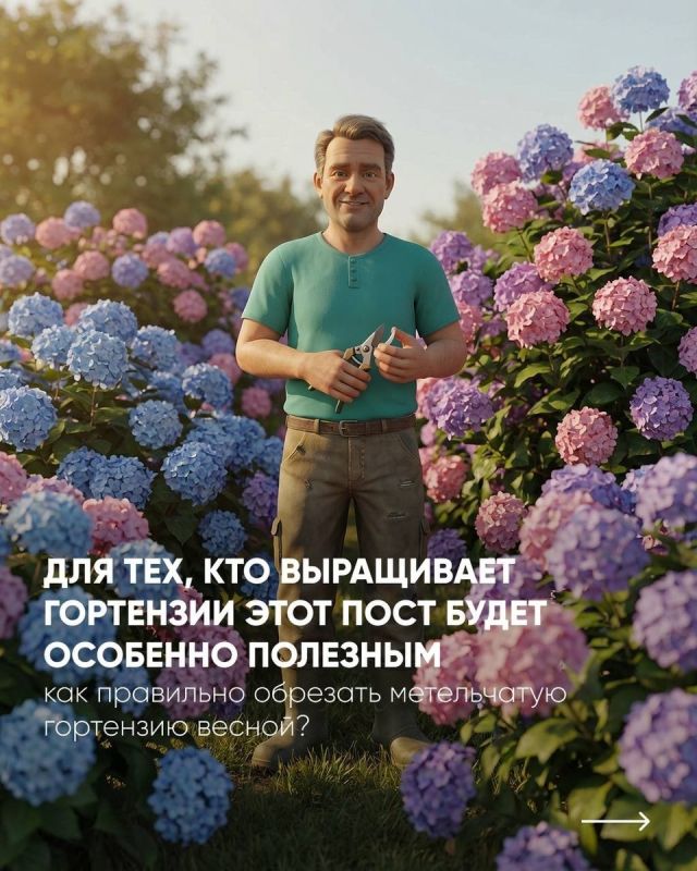 �����: ��� ��������� �������� ����������� ���������