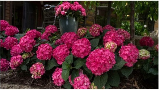 ��� ��������� ������ ������������� ��������� �� ����: ������ � ������