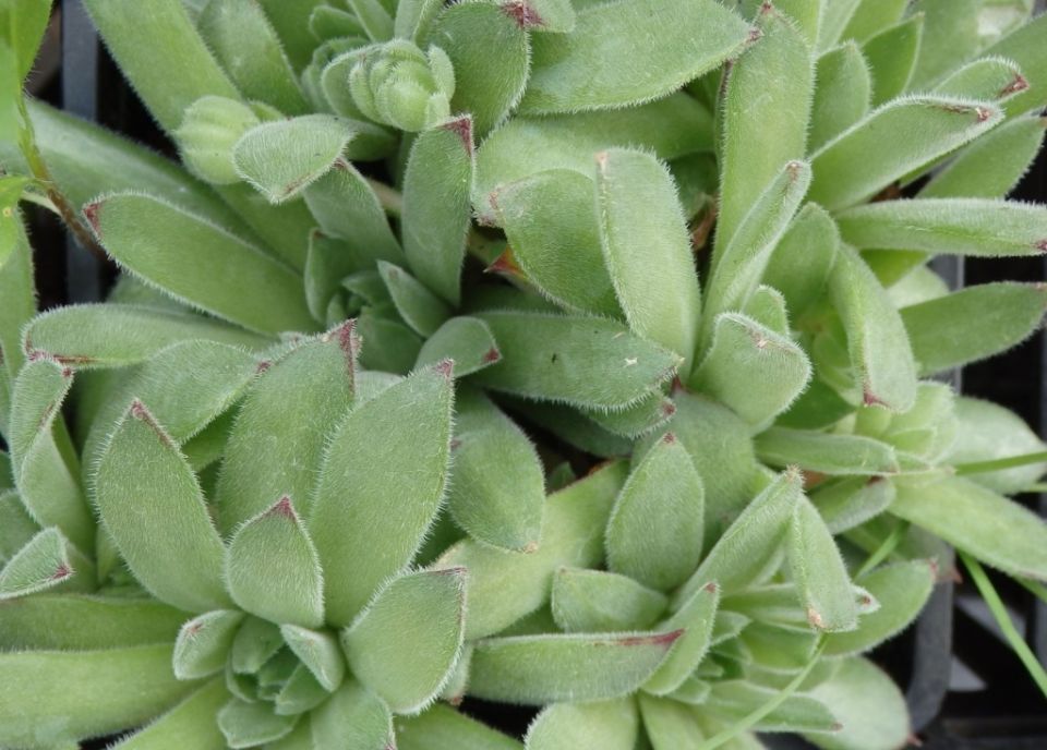 ����������: ��������� �������� ��� �������� � ���������