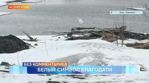 ����� ����� ����� �� ����� � ����-��������� � ��� ������������