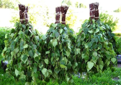 ��� ���������� 80 ����� �� �����, �������� ������ ������: ������� ������ ��������������� ������������ ����������