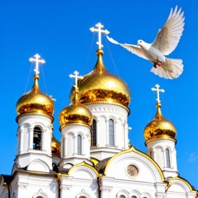 � �������������� �������� �� �������� ��������� ������� ����