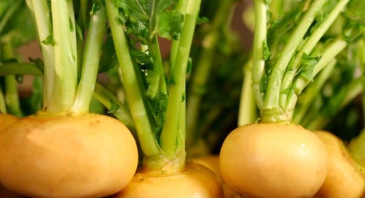 ������� �������� ������: ��� ��������� ���� �� ����� ������ ��� ������ ������