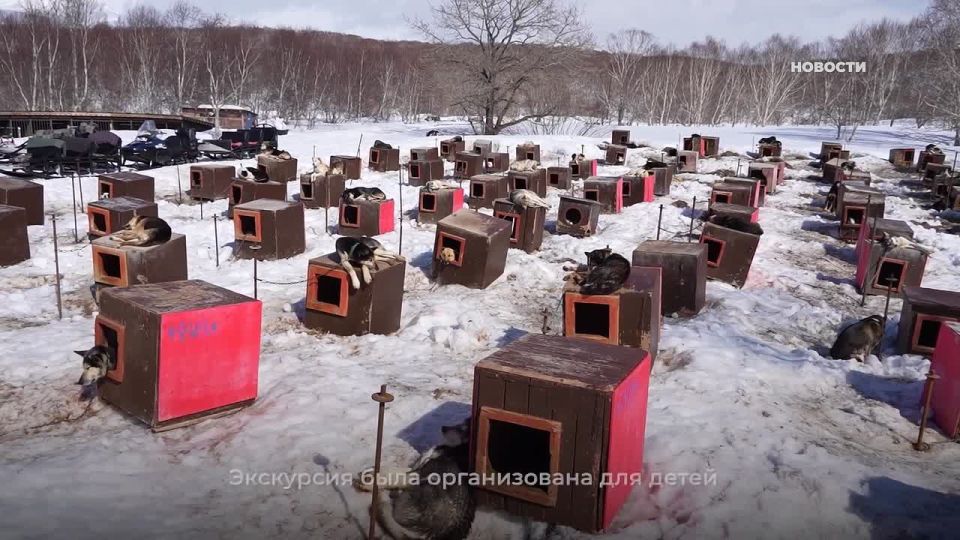 ��� ����� ���������� ��� ������������ ��������� � �������� �������� ����