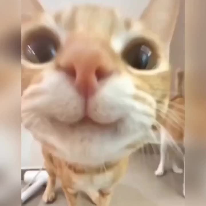 � ���� � ��� ������ �������?