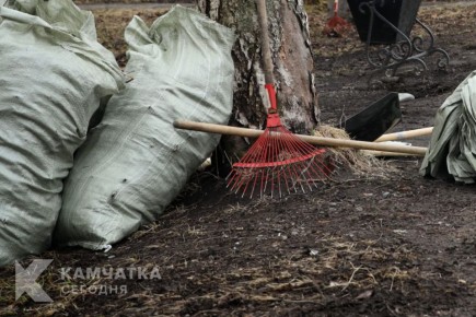 ������, ������ � ������� ��������: ������������� ������� �� �������� ���������