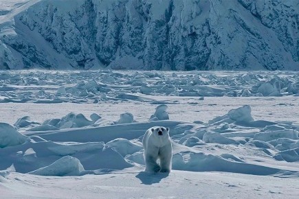 ��� �������, ������� ��������� ��������� ��������� ���� ������ �� ���������� ������� ��������?