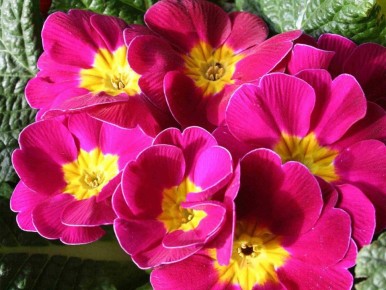 ������� ��������� ����� �� ��������� ����� ��������