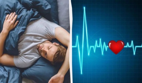 ��� � �������� ������: ����� ������������ ����������, ��� ������������ ������ �����������������