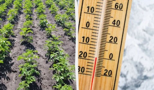 ��� ������ �������� ����� ����������: ����������� ������ ����������