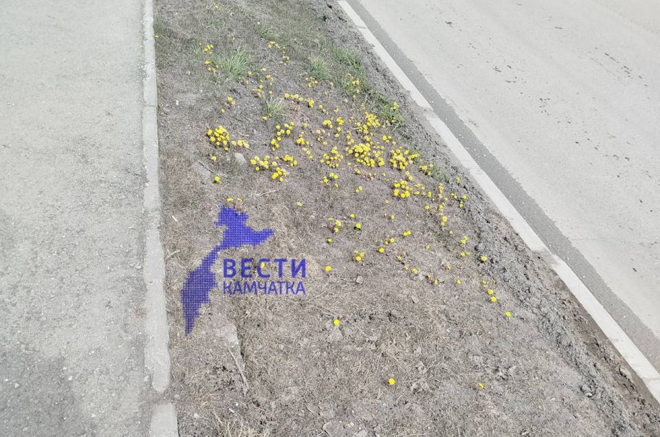 � �������������� �������� ����������