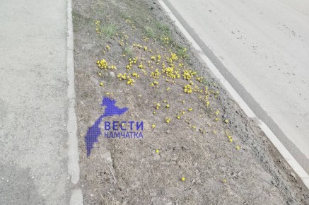 � �������������� �������� ����������