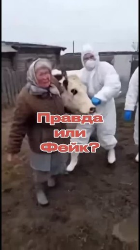 � ���� ���������������� �����, �� ������� ������� �� ������������� ������� ����� ������� ������ ������