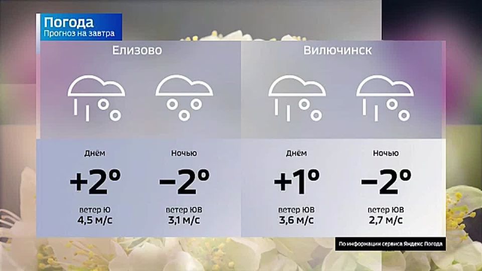 ������ �����, ����� ������ ���� ��� ���? ��������� � ������ �� �������� �������� � �����!