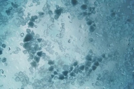 ������ ��������� ��������� �������� 25 � 26 ������