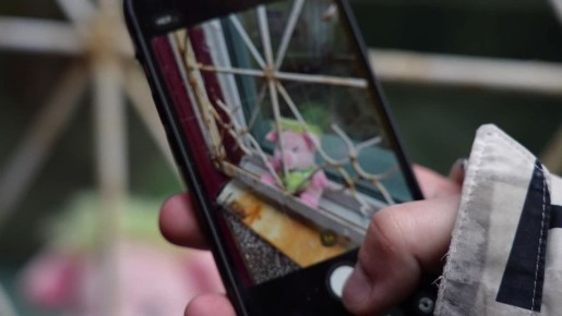 ������ ���������, ���� ������ ����� ������ �����