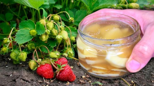 ��� �������� ������ ��������: ������� �������� �������� � ���