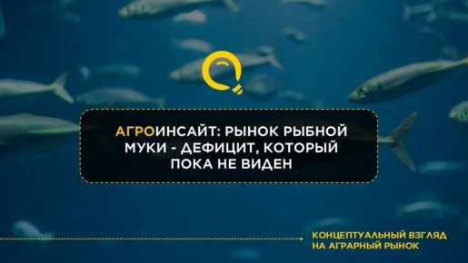 ����� ������ ����: ���������� ������� �������