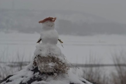 �� �������� 26 ������ ��������� ���������� � ������ ����