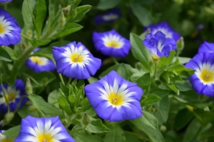 ����� ������ ���������, �� ����� �������� ����� ����� �� 8 ���