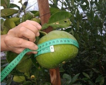 ��������� ������ ������������ ����� ���� ����������