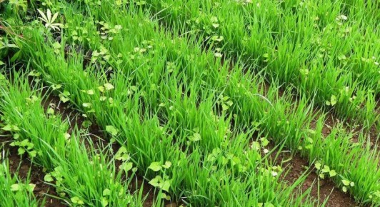 �������� � �����: ��� ����������� ����� ��� ����� �������