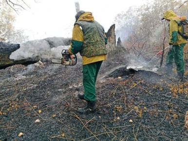 ���������� ���� ����� � �������������� ������ 2026