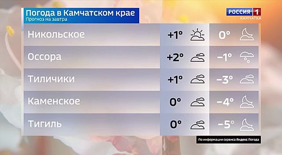 ������ �����, ����� ������ ���� ��� ���? ��������� � ������ �� �������� �������� � �����!