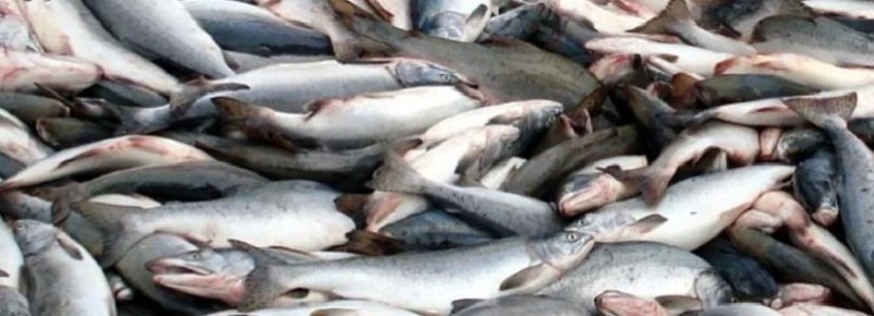 �������� � ������ ���� ������� ����� ������ 23 ���